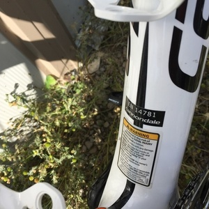 2015 Cannondale Synapse White and Black