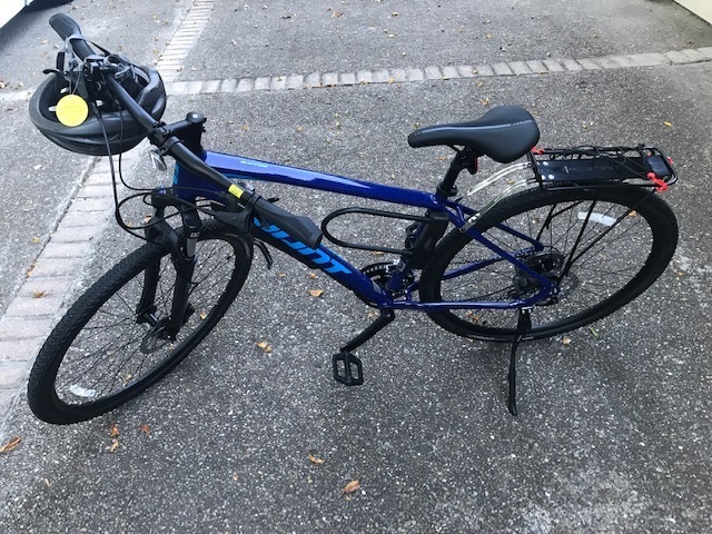 2020 Giant Roam 3 Disc