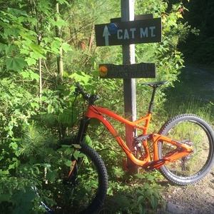 2017 Niner RIP RDO Orange