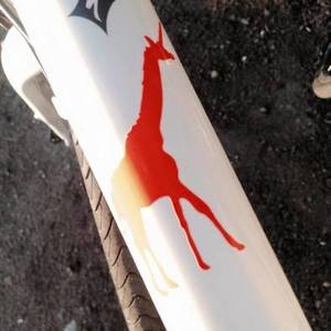 2014 Specialized  White