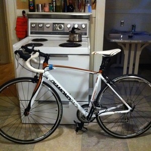 Diamondback White