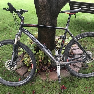 Specialized Crosstrail Silver, gray or bare metal