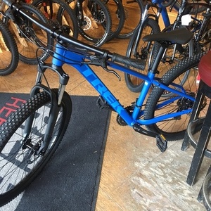 2019 Trek Blue