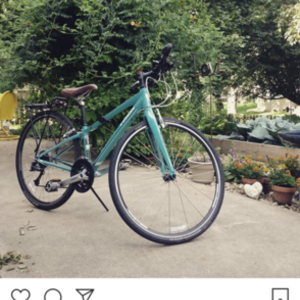 Trek 7.4 FX Green
