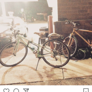 Trek 7.4 FX Green