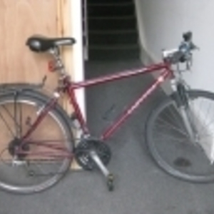 1996 Univega Alpina 604-s Red