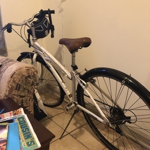 Marin Bikes Bridgeway Used White