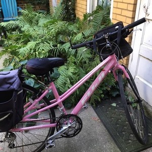 2016 Fuji Absolute 2.0 LE Pink