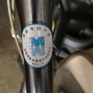 2004 Giant Athena  Silver or Gray