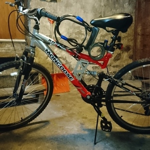 Mongoose R4598WMA