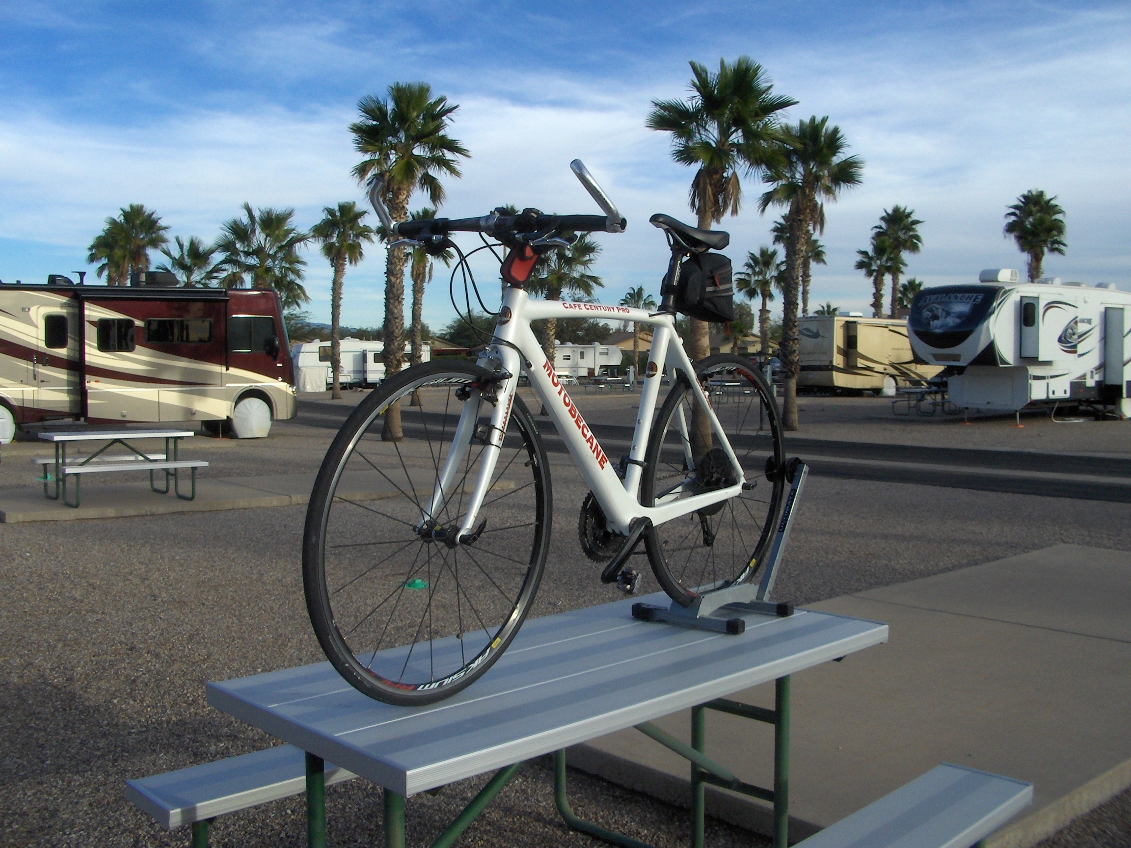 Stolen 2011 motobecane cafe century pro