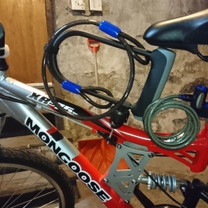 mongoose model r1348tg