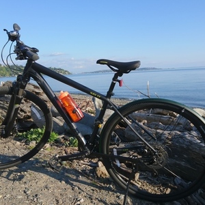 2017 Cannondale Quick CX3 Black