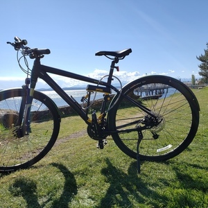 2017 Cannondale Quick CX3 Black