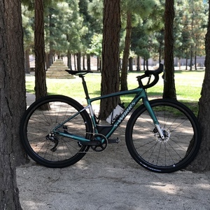 2018 Specialized S-Works Diverge Green and Silver, gray or bare metal