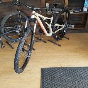 2019 Specialized Stumpjumper White