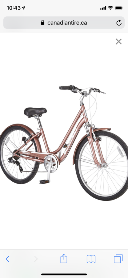schwinn comfort