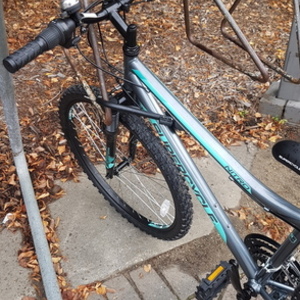 2019 Supercycle - Canadian Tire Silver, gray or bare metal