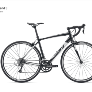 2019 Giant CONTEND White and Black