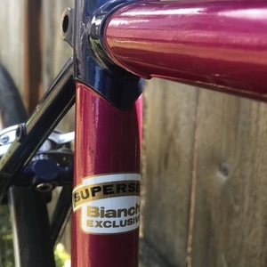 Bianchi Eros Pink and Blue
