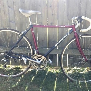 Bianchi Eros Pink and Blue