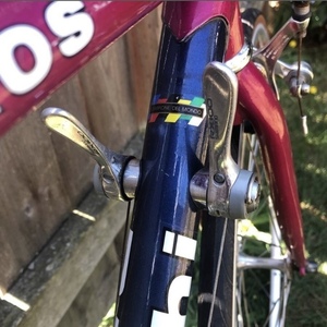 Bianchi Eros Pink and Blue