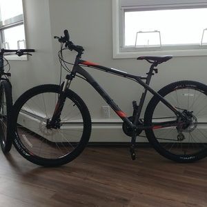 2017 GT Bicycles Silver, gray or bare metal and Orange