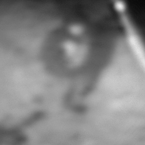 2011 Specialized Hardrock Disc 29er  Blue and Black