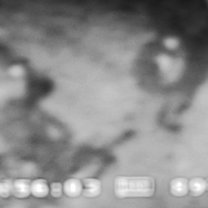 2011 Specialized Hardrock Disc 29er  Blue and Black