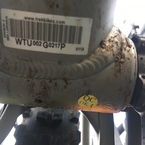 2019 Trek Fuel ex 7 29 Silver, gray or bare metal