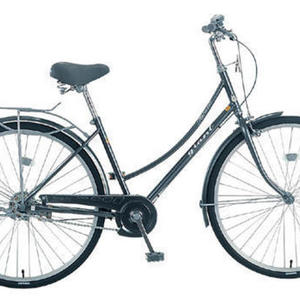 2004 Giant Athena  Silver or Gray