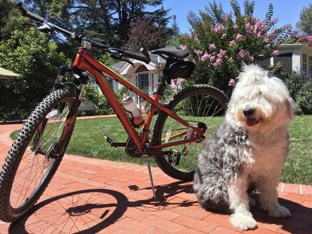 Bike photo