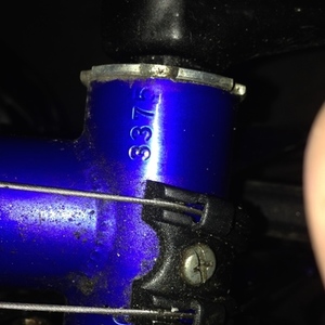 2005 Bianchi Eros  Blue