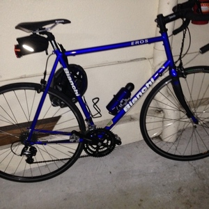 2005 Bianchi Eros  Blue