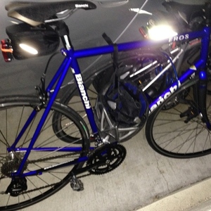 2005 Bianchi Eros  Blue