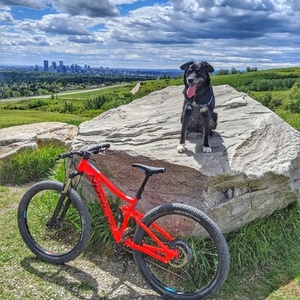 2017 Norco Bikes Fluid Red