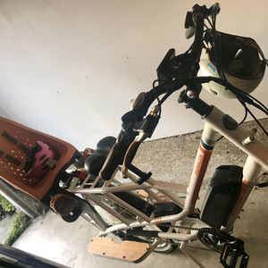 2019 Rad Power Bikes Radwagon White