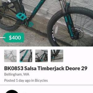 2019 Salsa Timberjack Black
