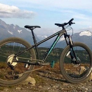 2019 Salsa Timberjack Black