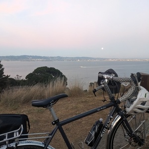 2019 Surly Disc trucker Silver, gray or bare metal
