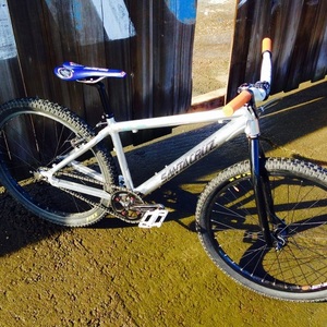 2001 Santa Cruz Chameleon  Silver or Gray