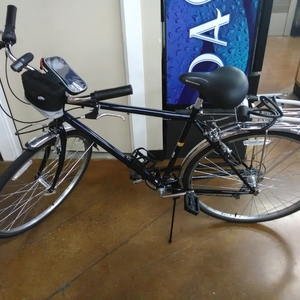 2019 Schwinn Wayfarer Blue and Black