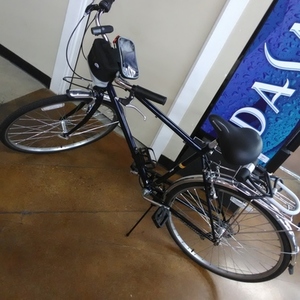 2019 Schwinn Wayfarer Blue and Black