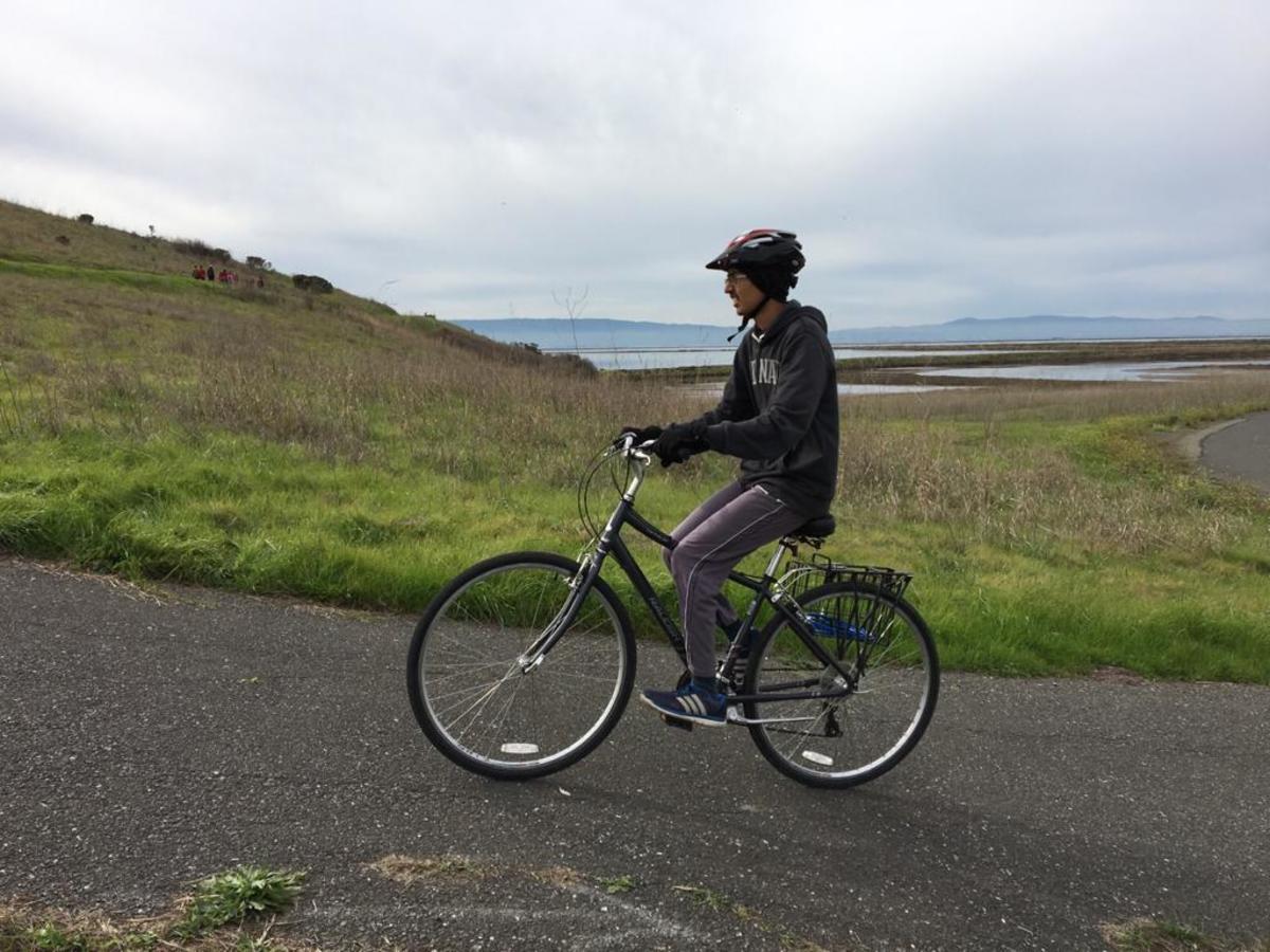 Bike photo