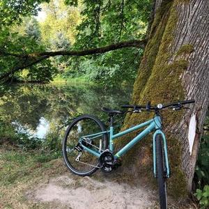 2019 REI 6061 aluminum Blue