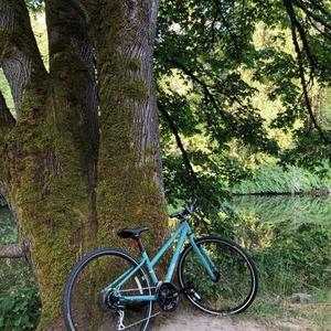 2019 REI 6061 aluminum Blue
