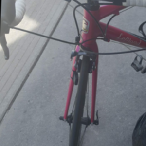 2008 LeMond Racing Cycles Zirch Race Light Pink and Black