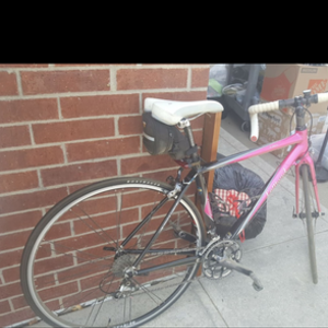2008 LeMond Racing Cycles Zirch Race Light Pink and Black