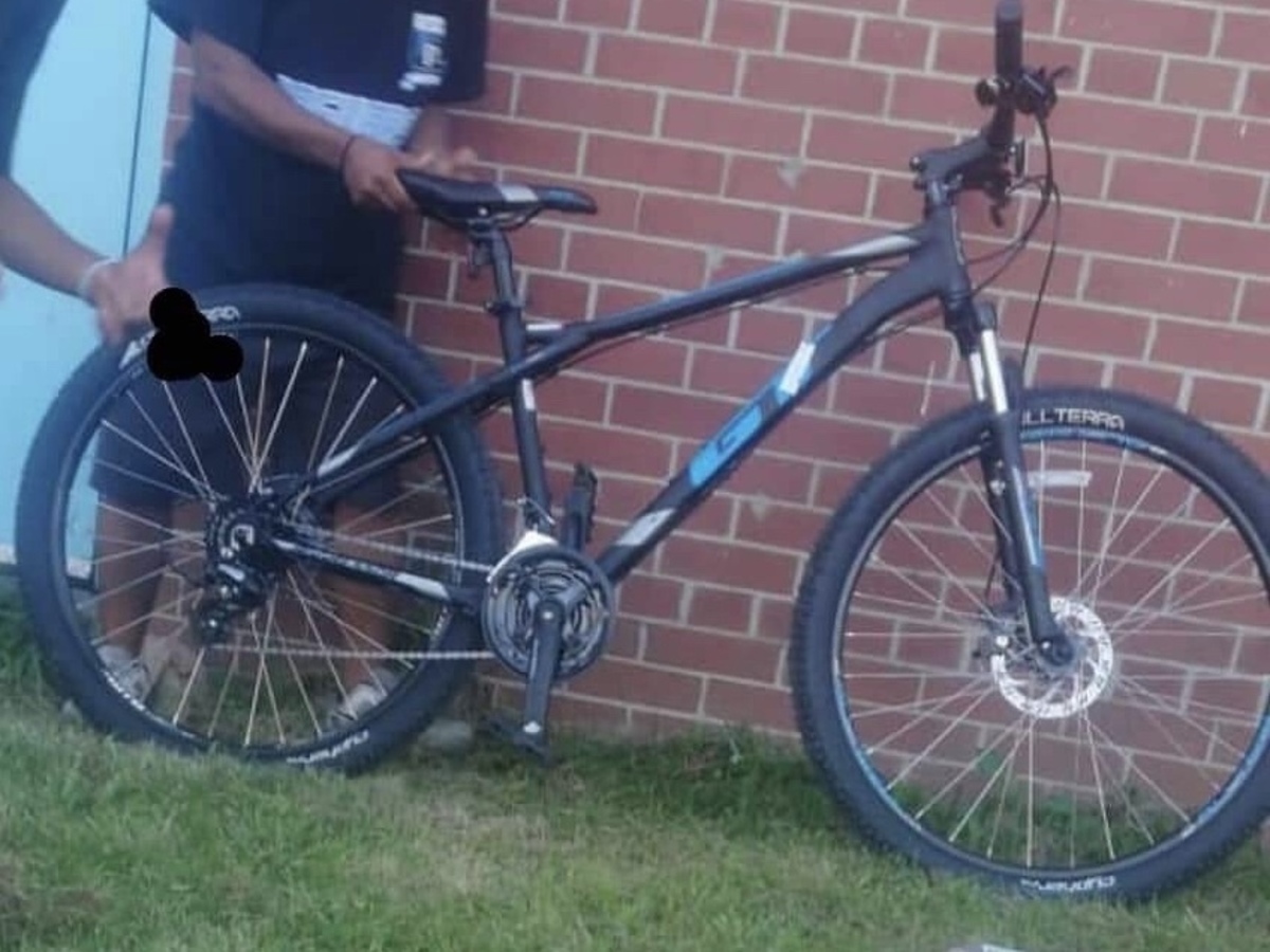 dorel bikes