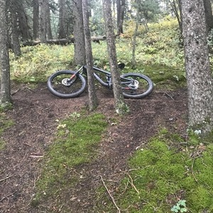 2017 Trek Fuel ex 8 plus Black and Red